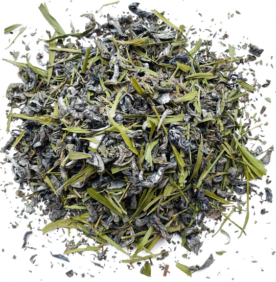 Zielona herbata Green Mint Leo Tea – zielona liściasta herbata z liśćmi mięty pieprzowej i młodego bambusa, dostępna w różnych wariantach opakowań